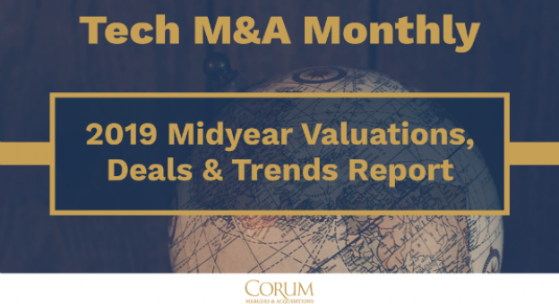 2019 midyear report