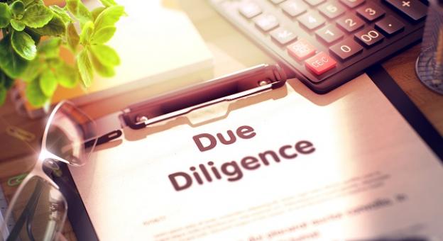 What is Due Diligence Really About
