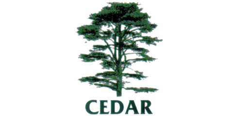 Cedar Group US, Inc. 