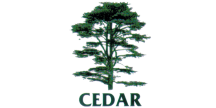 Cedar Group US, Inc. 