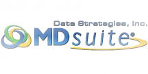 Data Strategies Inc. 