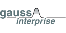 Gauss Interprise AG